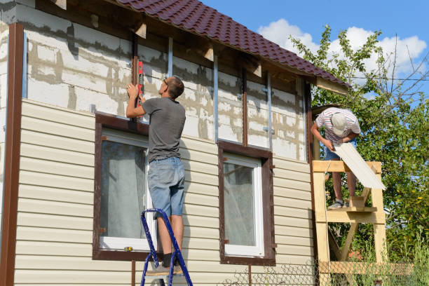 Best Steel Siding Installation  in Wyoming, IL